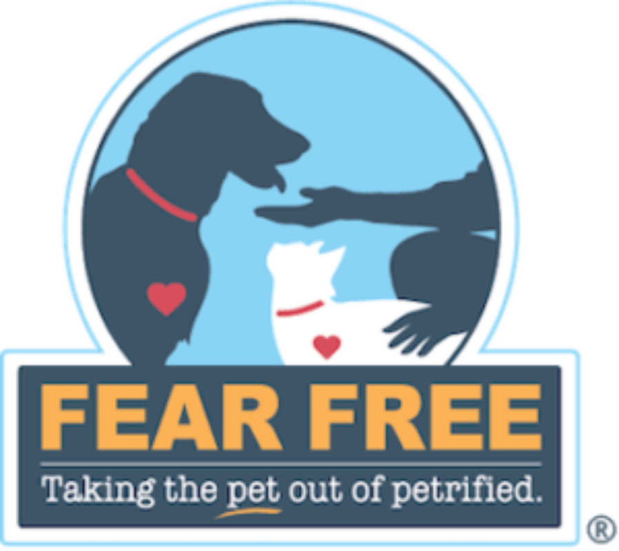 Fear Free Mindset