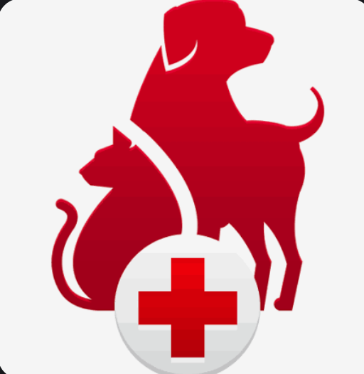 Pet First Aid