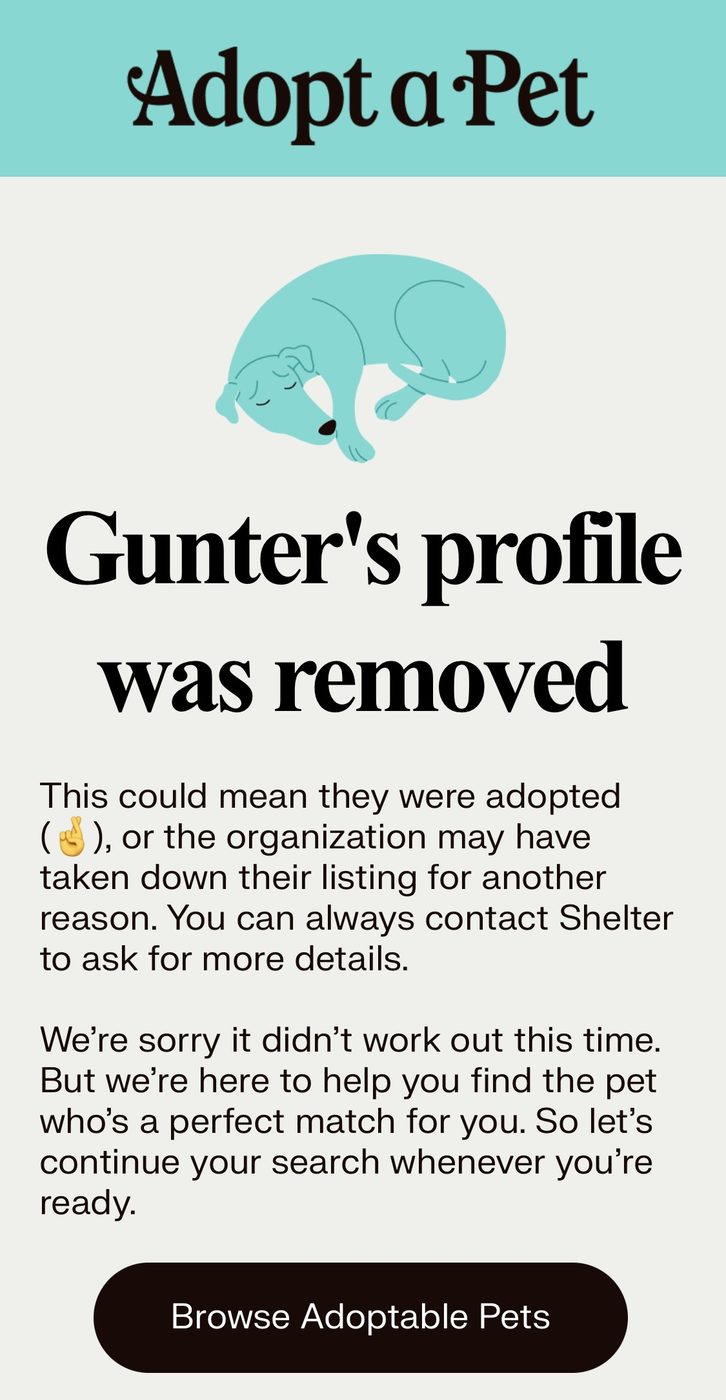 Shelter listing showing Cooper (formerly Gunter) had been adopted